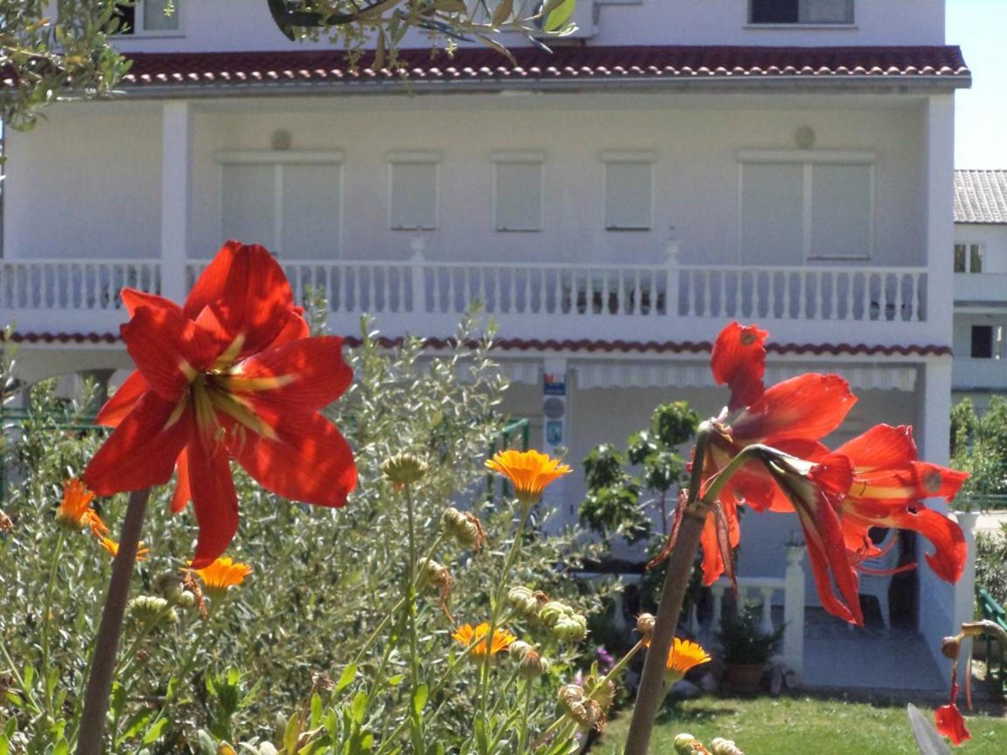 Lovely Meta Apartments Palit Exterior photo